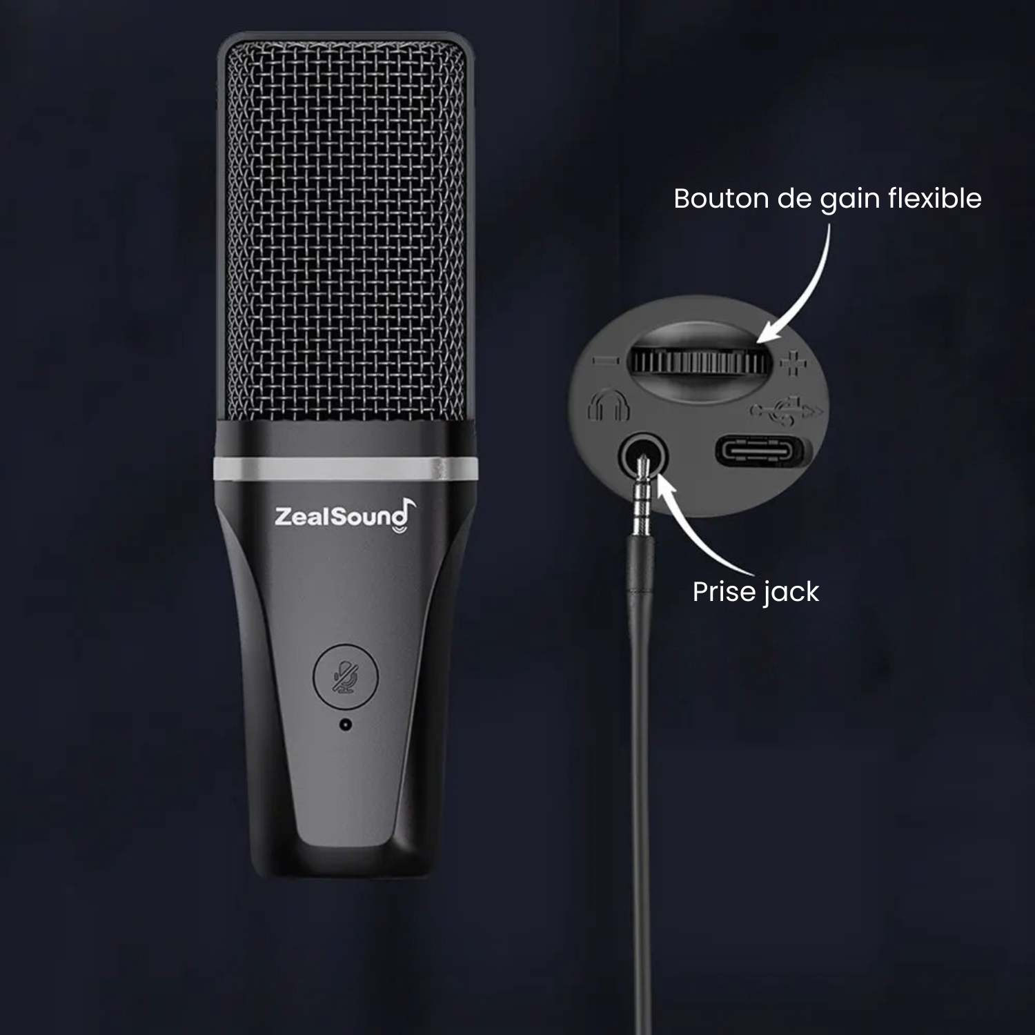 Zealsound Micro Gaming Avec Bras | RGB, Gaming Et Streaming