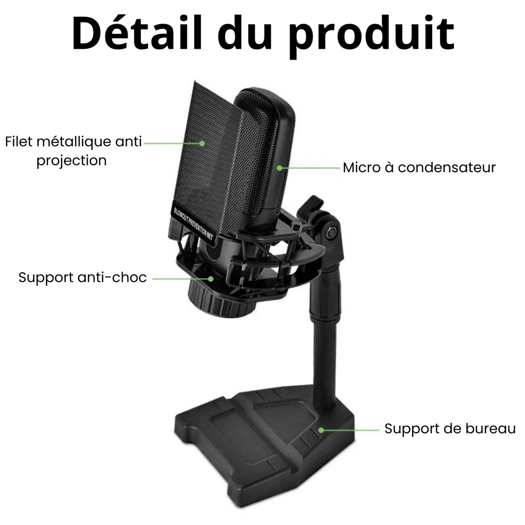 LEEDOAR ZX85 Micro Statique Pro | Chant, Studio, ASMR, Gaming