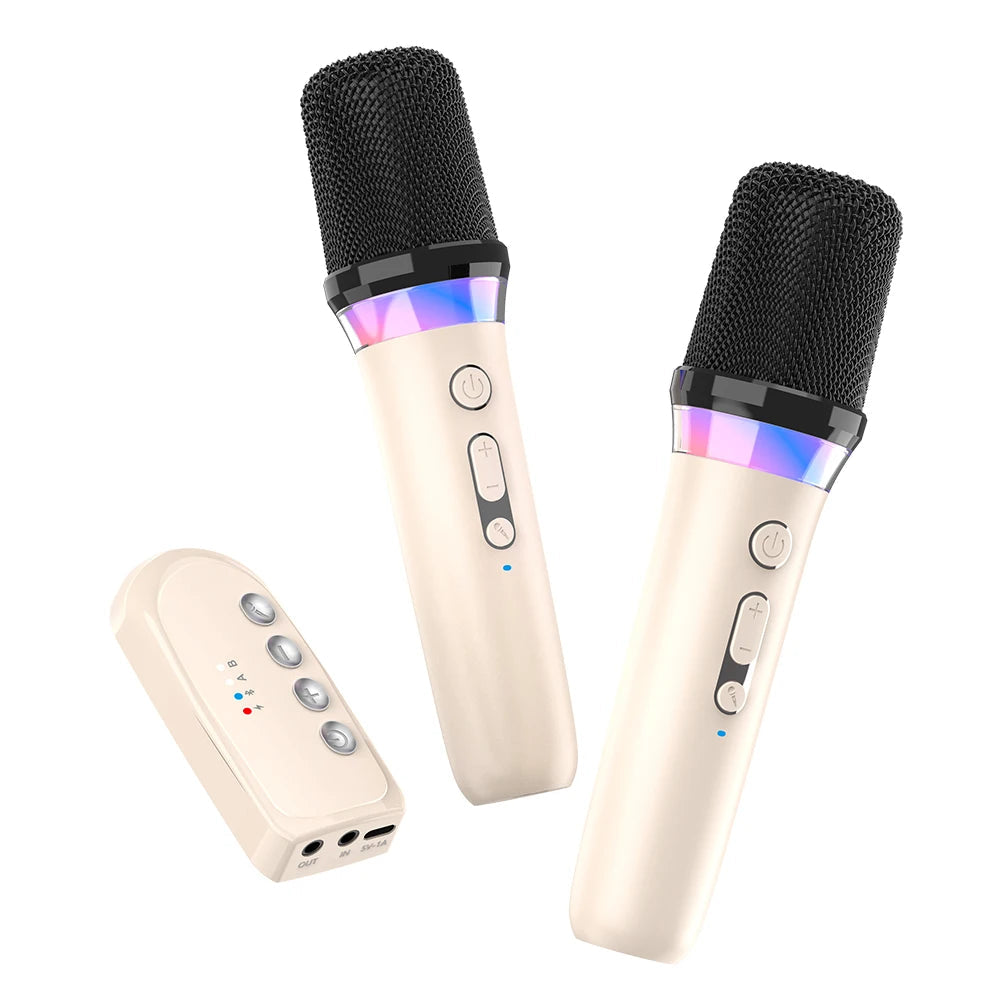 Micro Karaoké DS-K2 Bluetooth 5.3 | Avec Lumières RGB Et Mixeur DSP